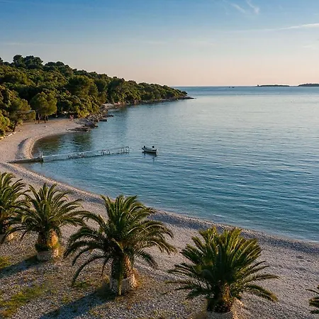 Punta Apartman *