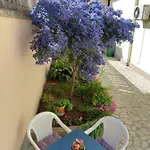 Punta Pula