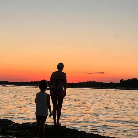 Lejlighed Punta Pula