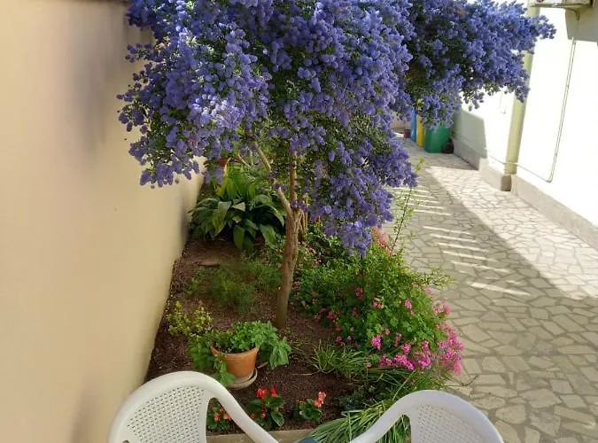 Punta Pola